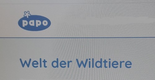 Papo wildtiere gepard puma - wildtiere,