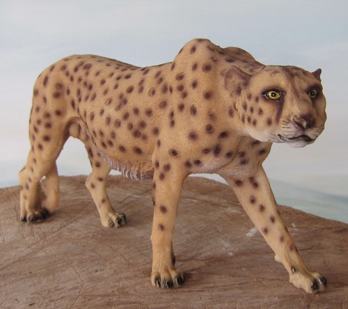 Stehender gepard wildnis - stehender,