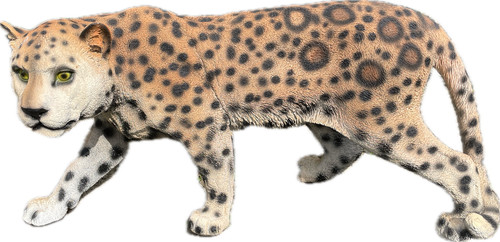 Gepard panther jaguar - gepard,