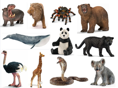 Schleich widtiere löwe - schleich,