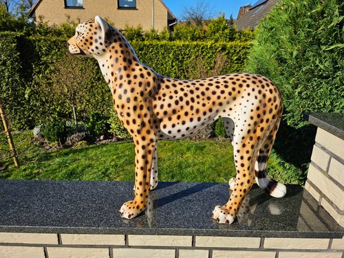 Konvolut geparden leoparden - konvolut,